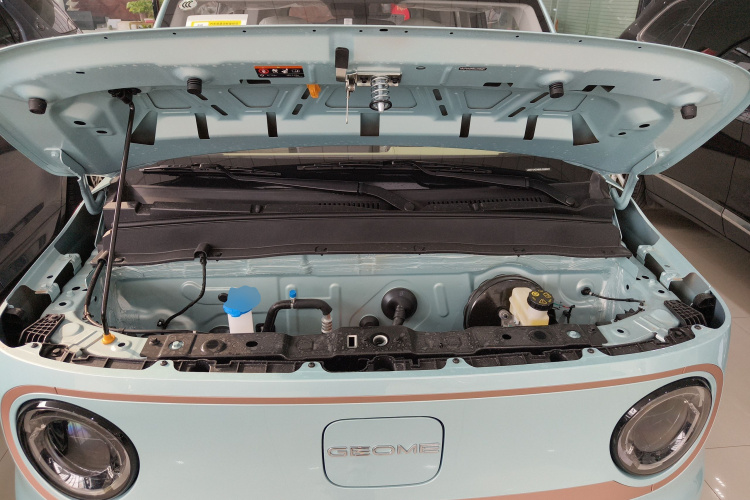 吉利银河 2024款 熊猫mini 200km 耐力熊局部细节24