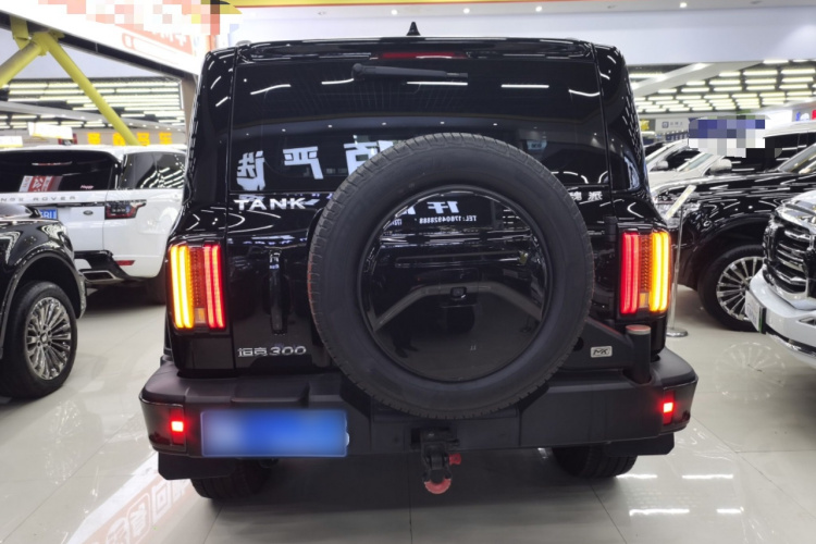 坦克300 2021款 城市版 2.0T 必须型车身外观6