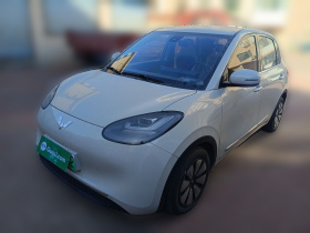 五菱汽车 五菱缤果 2023款 203km 舒享款