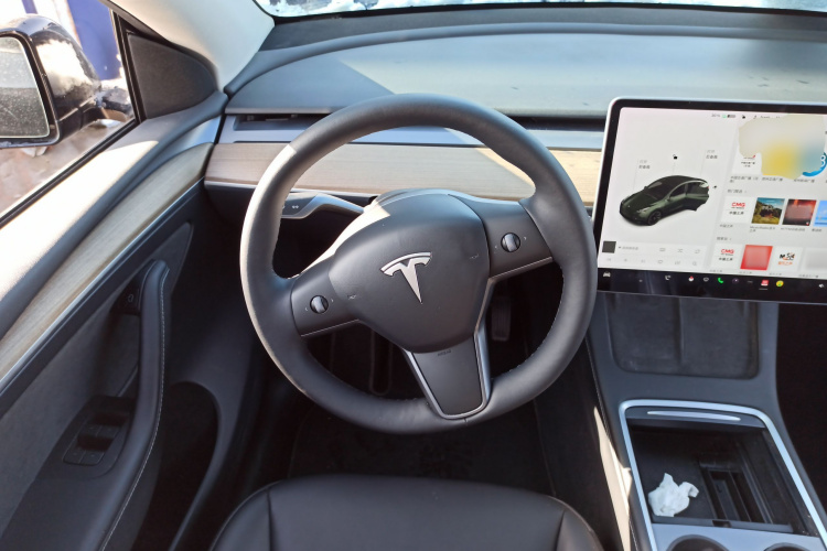 特斯拉 Model Y 2021款 标准续航后驱版中控内饰13