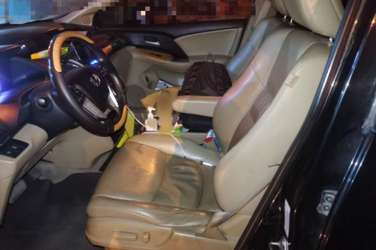 本田 奥德赛 2009款 2.4L 豪华版局部细节19