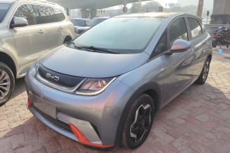 比亚迪 海豚 2021款 405km 时尚版