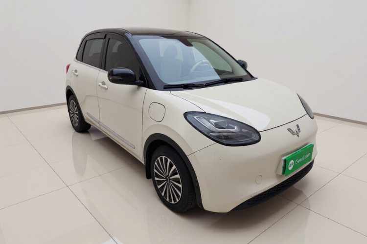 五菱汽车 五菱缤果 2023款 410km 灵犀尊享款车身外观3