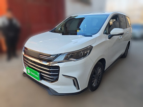 上汽大通MAXUS 大通G50 2023款 1.5T 手动畅游B