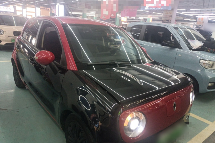 欧拉黑猫 2019款 301km 标准版车身外观6002