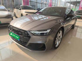 奥迪A7L 2022款 45 TFSI quattro S-line 风骑士