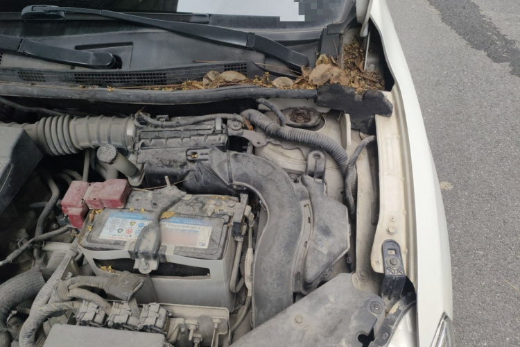 日产 轩逸 2014款 1.6XV CVT尊享版局部细节9007