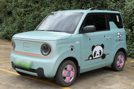 吉利银河 2024款 熊猫mini 200km 龙腾PRO版
