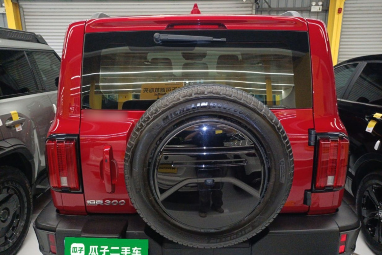 坦克300 2023款 城市版 2.0T 很有型车身外观6004