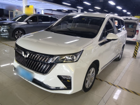 五菱汽车 五菱佳辰 2022款 1.5T CVT智享豪华型