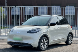 五菱汽车 五菱缤果 2023款 410km 灵犀尊享款