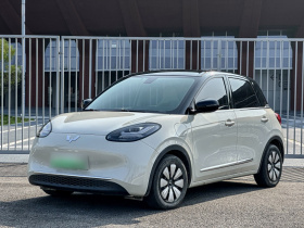 五菱汽车 五菱缤果 2023款 410km 灵犀尊享款