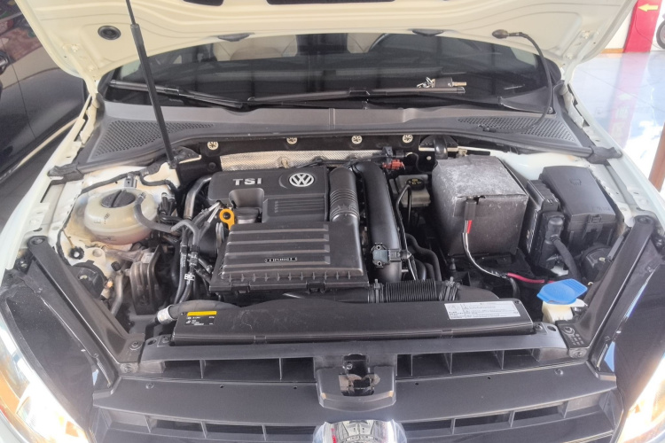 大众 高尔夫 2017款 230TSI 自动豪华百万辆纪念版局部细节24