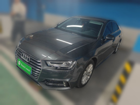 奥迪A4L 2019款 40 TFSI 进取型 国VI