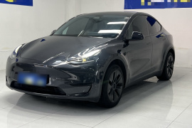 特斯拉 Model Y 2024款 后轮驱动版