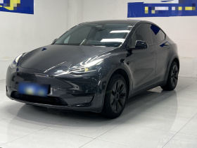 特斯拉 Model Y 2024款 后轮驱动版