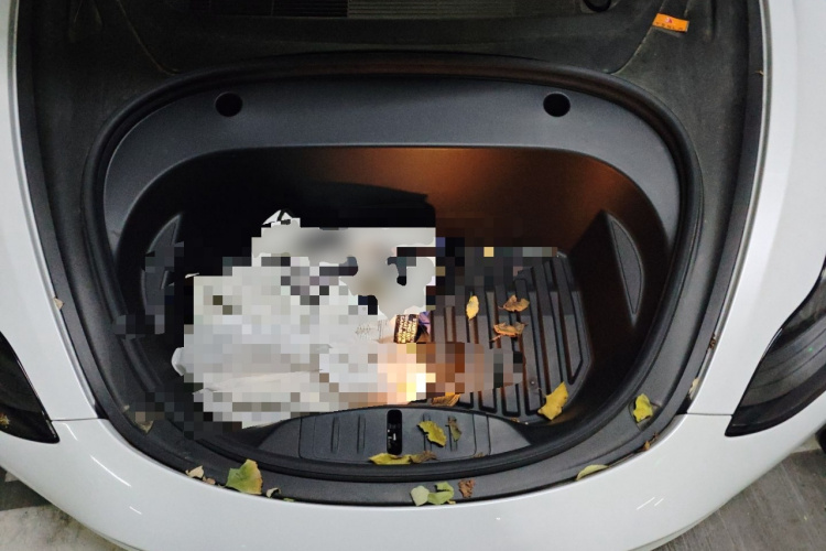 特斯拉 Model 3 2021款 标准续航后驱升级版局部细节24