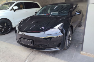 特斯拉 Model 3 2021款 标准续航后驱升级版 3D6