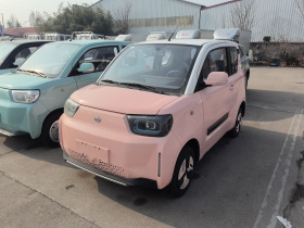 安徽猎豹 猎豹CS01 EV 2024款 实用型