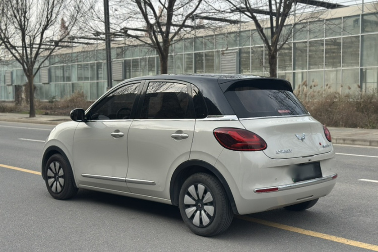 五菱汽车 五菱缤果 2023款 203km 轻享款车身外观6006