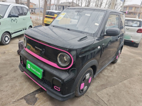 吉利银河 2025款 210km 熊猫卡丁