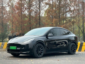 特斯拉 Model Y 2022款 后轮驱动版
