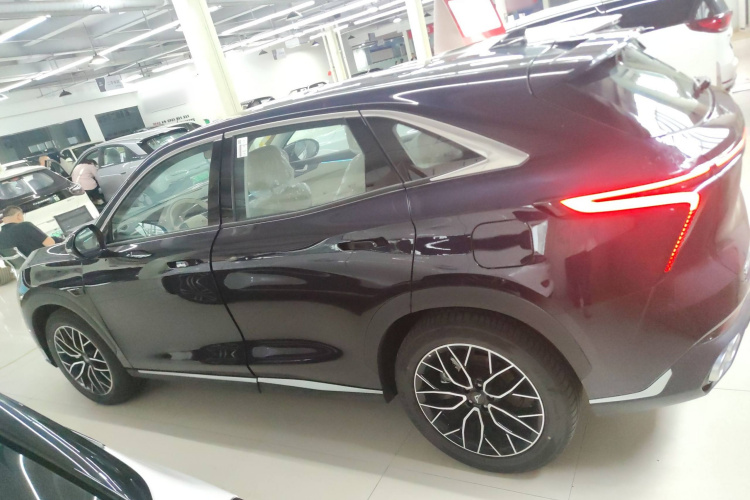 凯翼昆仑新能源 2024款 昆仑iHD 150km天际版车身外观6005