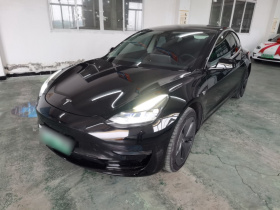 特斯拉 Model 3 2020款 改款 长续航后轮驱动版