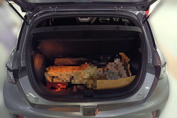 比亚迪 海豚 2021款 405km 自由版局部细节23