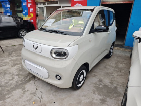 五菱汽车 宏光MINIEV 2024款 第三代 215km 青春版