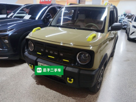 吉利银河 2025款 210km 熊猫骑士