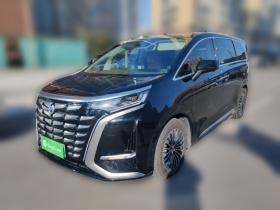 腾势D9 2022款 DM-i 970 四驱旗舰型