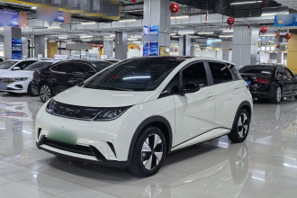 比亚迪 海豚 2023款 420km 时尚版