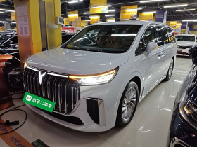 岚图汽车 岚图梦想家 2024款 PHEV 超长续航尊贵版
