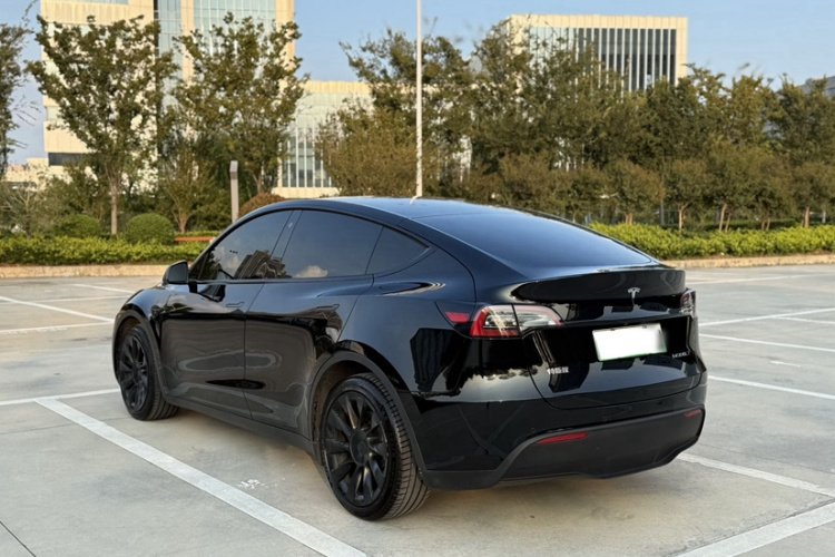 特斯拉 Model Y 2021款 标准续航后驱版车身外观6008