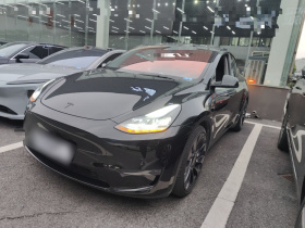 特斯拉 Model Y 2022款 Performance高性能全轮驱动版