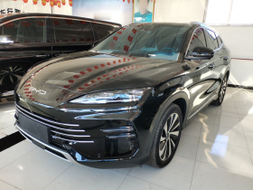 比亚迪 宋PLUS新能源 2023款 冠军版 DM-i 110KM 旗舰PLUS