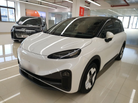 ARCFOX极狐 极狐考拉 2023款 家庭版Pro