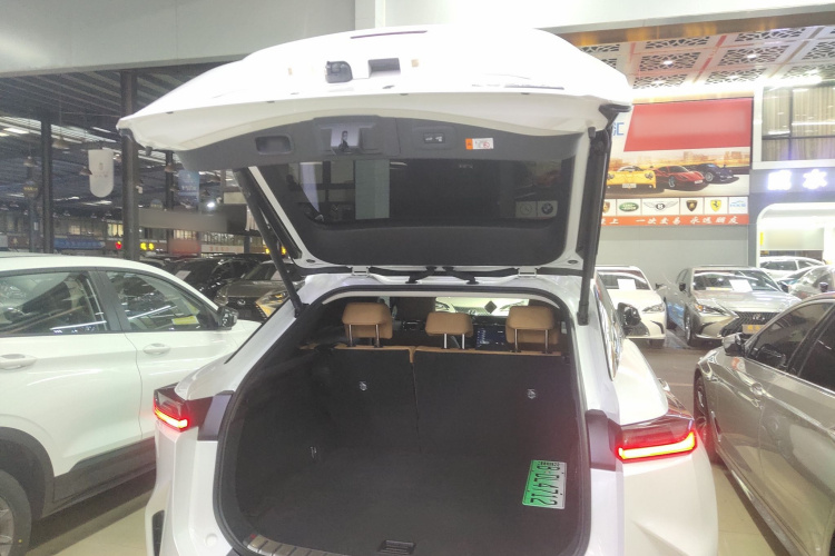 雷克萨斯RZ 2023款 450e 四驱纵享版局部细节23