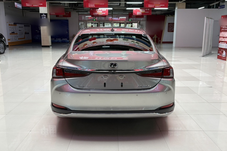 雷克萨斯ES 2021款 200 卓越版车身外观6004