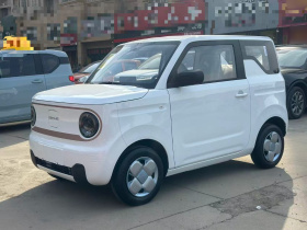 吉利银河 2024款 熊猫mini 200km 耐力熊