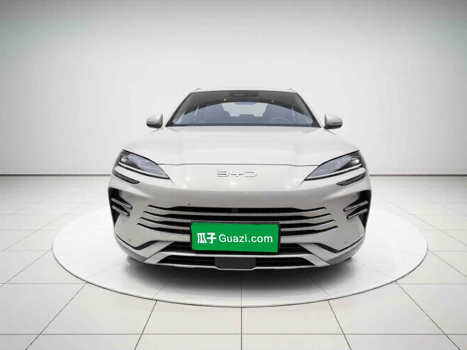 比亚迪 宋PLUS新能源 2025款 DM-i 112KM 尊贵型(1)
