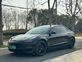 特斯拉 Model 3 2021款 标准续航后驱升级版