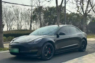 特斯拉 Model 3 2021款 标准续航后驱升级版