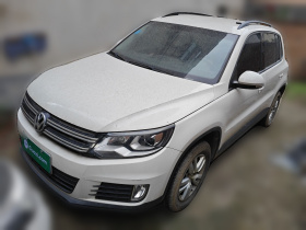 大众 途观 2016款 300TSI 自动两驱风尚版