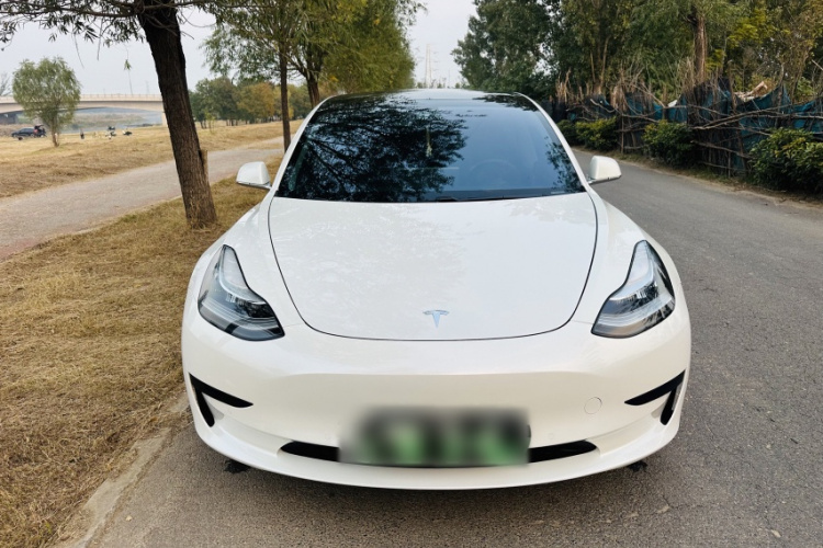 特斯拉 Model 3 2019款 标准续航后驱升级版车身外观6006