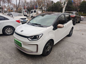 思皓 花仙子 2021款 302km 时尚型 31.4kWh