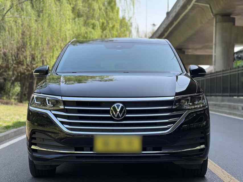 大众 威然 2024款 380TSI 尊驰版(4)