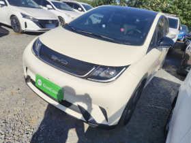 比亚迪 海豚 2023款 420km 时尚版