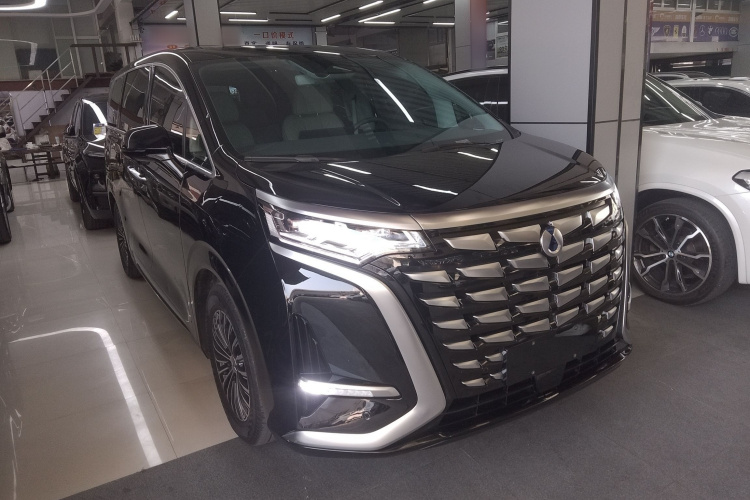 腾势D9 2023款 DM-i 945 公务版车身外观3